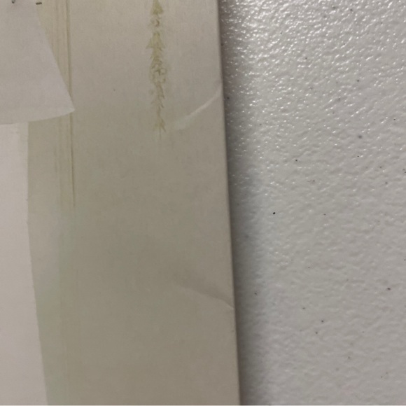 Living with Light: Decorating the Scandinavian Way Interior Design - Picture 6 of 8